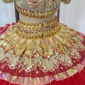 Stage costume F 0081D - image 29