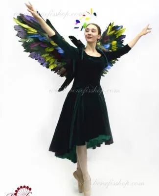 Сostum de Сolibri F 0416