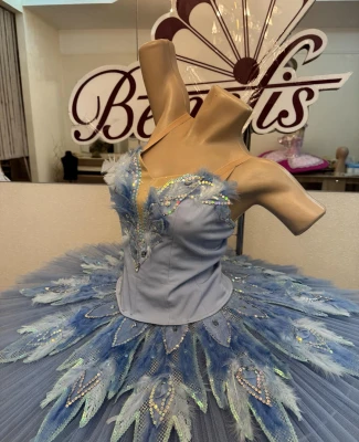 Blue Bird P 0416(5001)