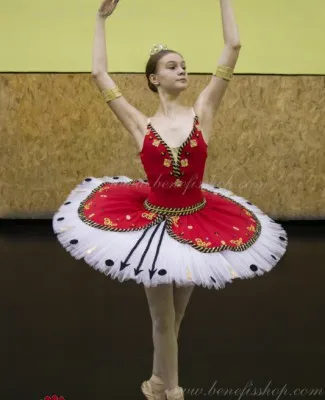 Stage costume F 0387