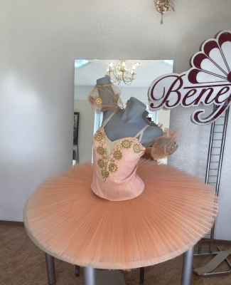 Costum pentru scena F 0304A(4912)