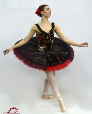 Stage costume F 0418