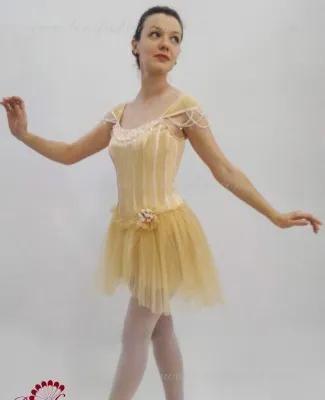 Stage costume F 0429