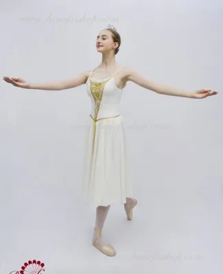 Stage ballet costume F 0315