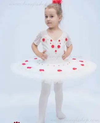 stage costume F 0345