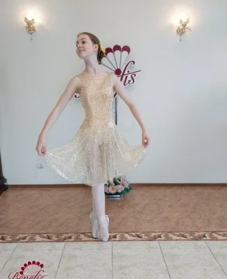 Stage costume F 0488