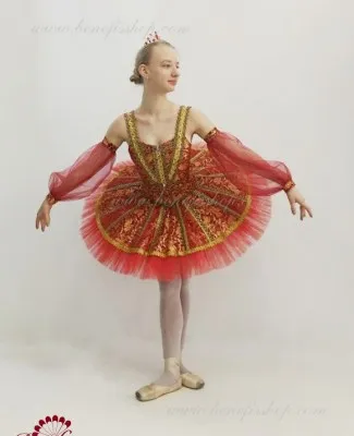 Costum de scena F 0460