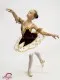 Stage ballet costume F 0088A - image 4