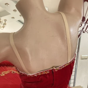 Pasare Paun F 0060 - image 15