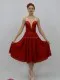 Stage ballet costume T 0018 - image 21