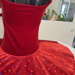 Stage costume F0531 - image 13