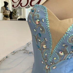 Blue Bird(Princess Florine) F 0001A - image 48