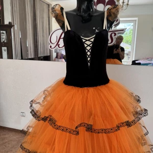 Kitri P 0323(3115) - image 2