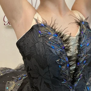 Black Swan P0134 - image 7