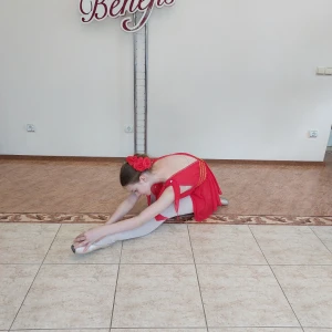 Сценический костюм F 0446 - image 19