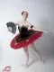 Soloist costume  P 0328 - image 5