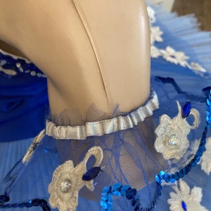 Blue Bird(Princess Florine) F 0001A - image 29