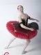 Soloist costume  P 0328 - image 6