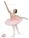 Ballet tutu Aurora F 0009 - image 2