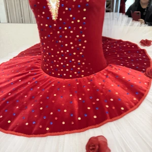 Stage costume F0531 - image 6