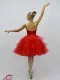 Stage ballet costume T 0025 - image 3