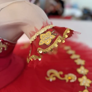 Ballet tutu F 0002(5039) - image 5