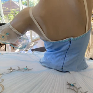 Blue Bird(Princess Florine) F 0001A - image 52