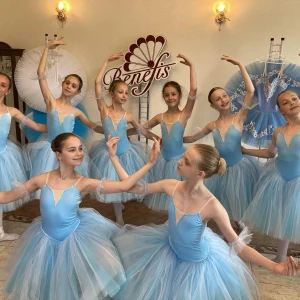 Romantic Ballet costume Flowers Waltz Sleeping Beauty Nutcracker F 0485 - image 7