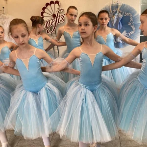 Romantic Ballet costume Flowers Waltz Sleeping Beauty Nutcracker F 0485 - image 6