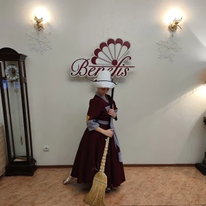 Costum de balet Cenusareasa P 1906 - image 17