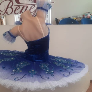 Синяя птица P 0481 - image 10