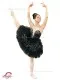 ballet tutu Odile P 0104 - image 15