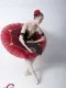 Soloist costume  P 0328 - image 8