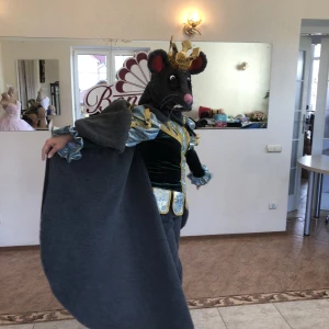 Costum de balet Regele Sobolanului Lupta sobolanilor Spargatorul de nuci P 0286 - image 9