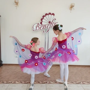 Wings S 0166 - image 2