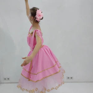 Aurora P 2501 - image 6