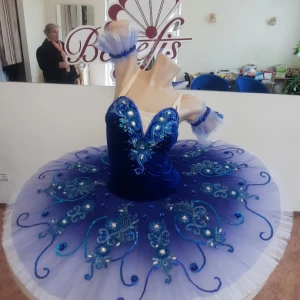 Синяя птица P 0481 - image 5