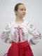 Молдавская национальная блуза J 0276 - image 4