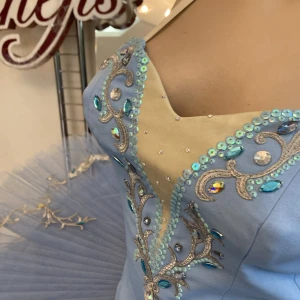 Blue Bird(Princess Florine) F 0001A - image 55