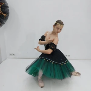 Esmeralda P 1104 - image 20