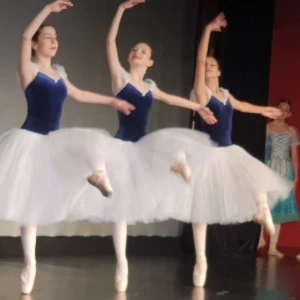 Белоснежка F 0201 - image 16