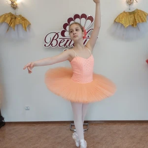 Professional basic tutu with a simple decor T 0014 - image 46