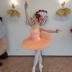 Professional basic tutu with a simple decor T 0014 - image 47