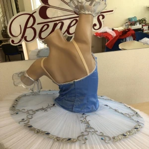 Blue Bird(Princess Florine) F 0001A - image 88