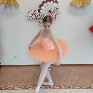 Professional basic tutu with a simple decor T 0014 - image 49