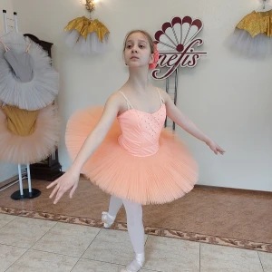 Professional basic tutu with a simple decor T 0014 - image 50