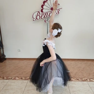 Сценический костюм T 0056 - image 16