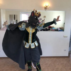 Costum de balet Regele Sobolanului Lupta sobolanilor Spargatorul de nuci P 0286 - image 8