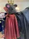 A cloak for the Rat King S 0131 - image 6