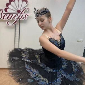 Black Swan P0134 - image 2